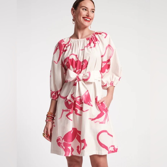 Frances Valentine Dresses & Skirts - NWT FRANCES VALENTINE BLISS MINI DRESS - PINK MONKEY Sz L
